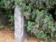 Photo of headstones/thumb_John MacLennan d 1898 MI Kilchrist, Urray